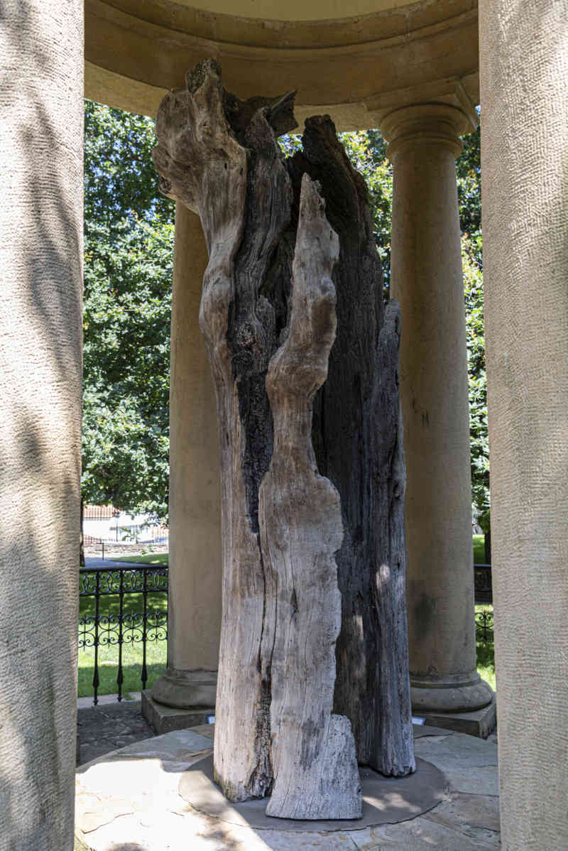 Vizcaya - Gernika-Lumo 15 - Casa de Juntas - antiguo árbol de Gernika.jpg